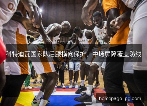 科特迪瓦国家队后腰横向保护，中场屏障覆盖防线